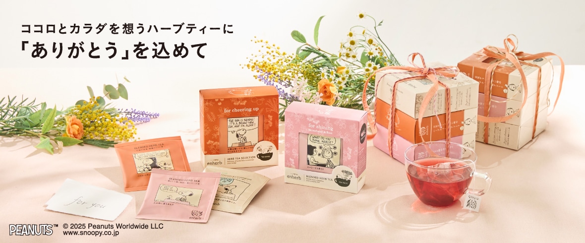 PEANUTS パッケージシリーズ