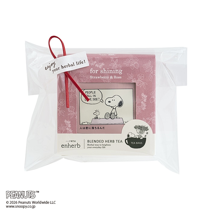 PEANUTS ハーブティーfor shining 5包入 ティーバッグ
