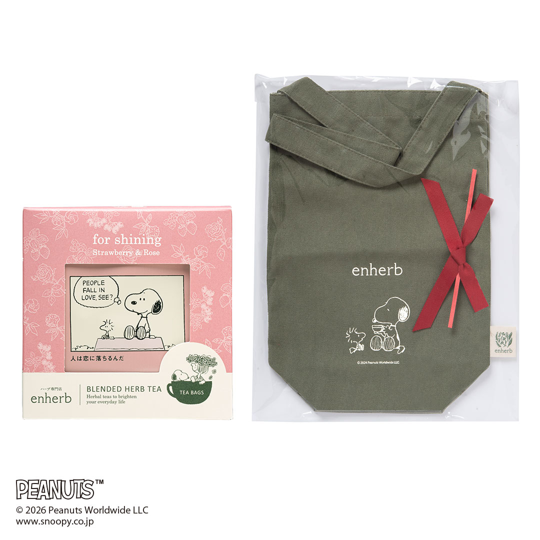 ③for shining カーキバッグ