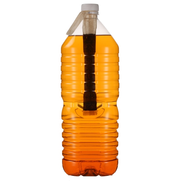 水出しアイスハーブティー ルイボス&マテ 12包 ティーバッグ