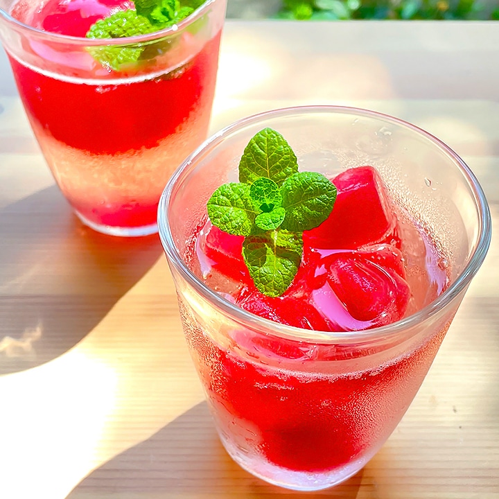 ハーブ専門店 Enherb 公式webサイト 限定 水出しハーブティー ハイビスカス レモングラス スティックティーバッグ 15包 ハーブティー サントリーグループのハーブ専門店 Enherb エンハーブ ハーブティー エッセンシャルオイル ハーブコスメ 株式会社