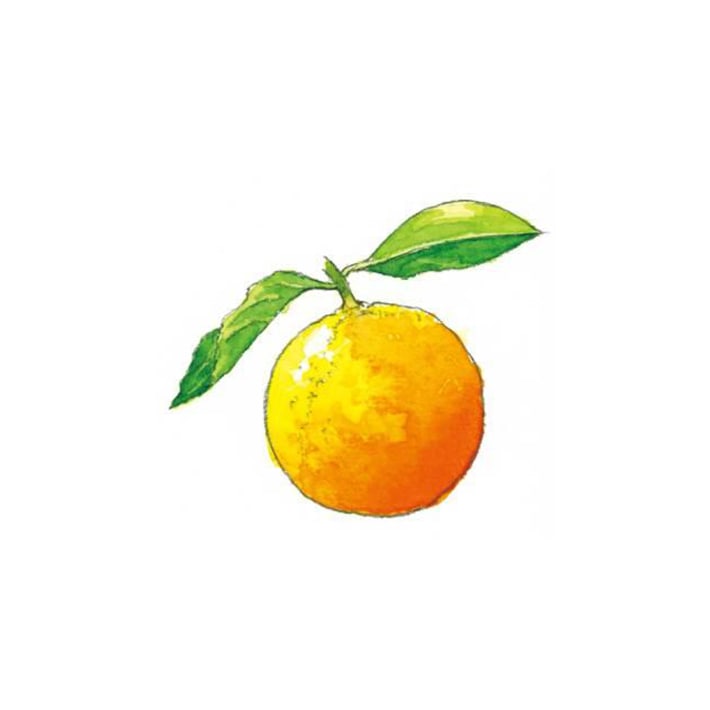 オレンジピール(スイート) 25g 茶葉