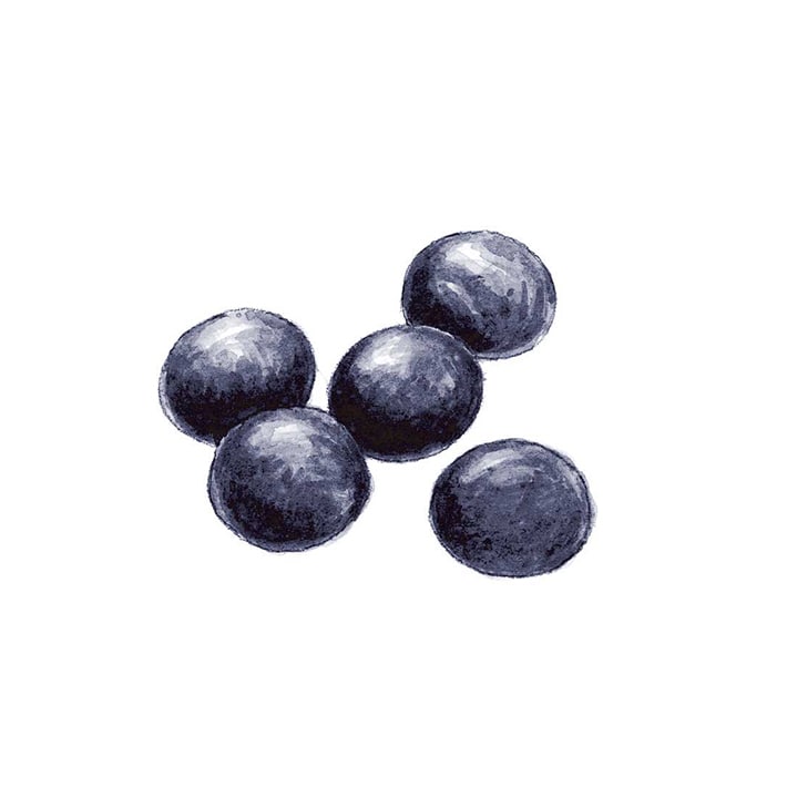 黒豆（大豆） 30g 茶葉