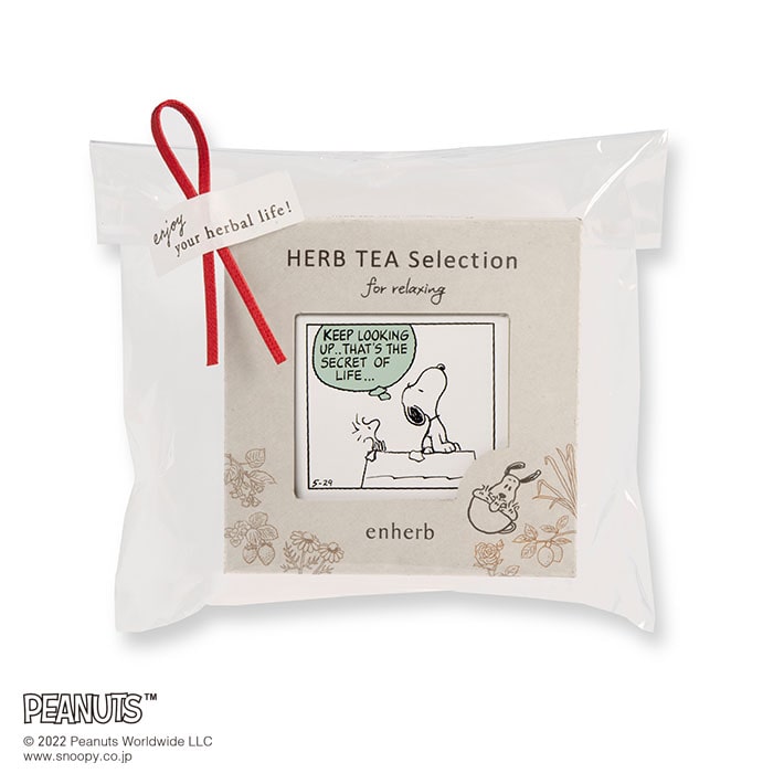 5包入 / ギフトパッケージ