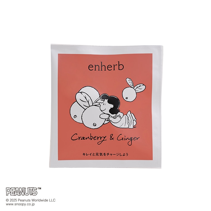 数量限定 PEANUTS 冬のしょうが茶3種アソート 5包 ティーバッグ