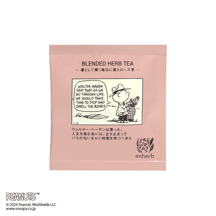 PEANUTS ハーブティーfor shining 5包入 ティーバッグ