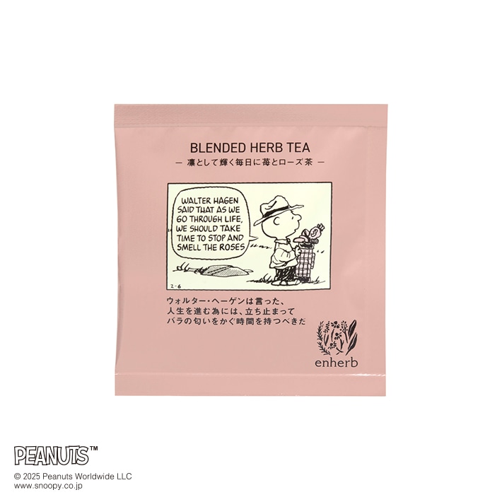 数量限定 PEANUTS ハーブティーfor shining 5包入 ティーバッグ