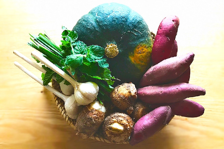 南阿蘇野菜