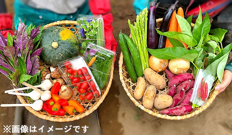 南阿蘇野菜