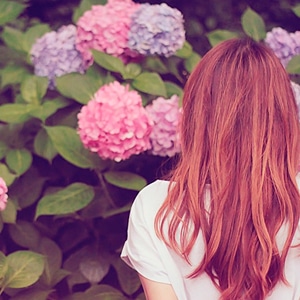 ハーブを味方に！ 梅雨時期の不調対策