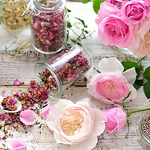 春先のゆらぎをケアするハーバルライフ