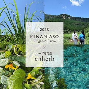 毎年大好評！南阿蘇からお届け のびのび育った力強いハーブで夏も元気に！