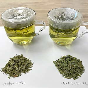 レモングラスの「初摘み」と「摘みたて」の違いは？ 飲み比べてみました！