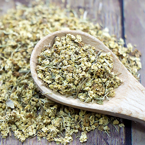 伝説の数だけ魅力がある！ 庶民の薬箱、エルダーフラワーの活用法