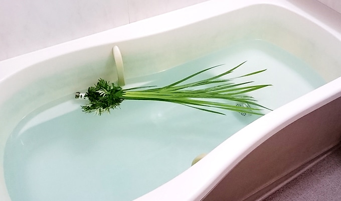 菖蒲湯のはじまりとは？ ルーツを知って端午の節句を楽しもう