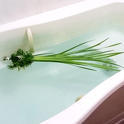 菖蒲湯のはじまりとは？ ルーツを知って端午の節句を楽しもう