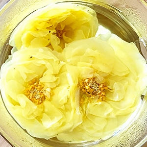 南阿蘇村から届いたカップに花咲くバラ