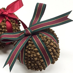 〈香りの魔除け〉フルーツポマンダーをつくろう