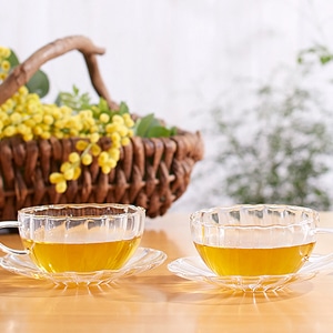 備えあれば憂いなし！ ハーブで春のお悩みケア