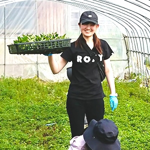 今年も南阿蘇村産レモングラス、収穫してきました！