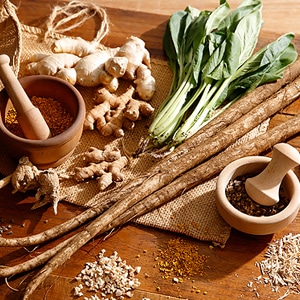 チカラみなぎる〈根っこ〉系ハーブ ～4大根っこハーブ編～