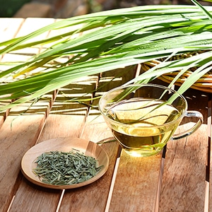 熊本県南阿蘇村産「摘みたてレモングラス茶」8月中旬より順次発売
