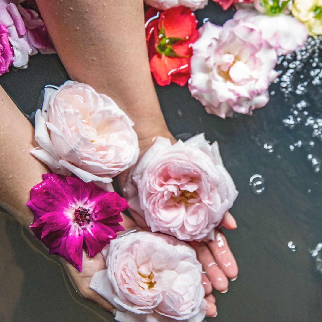阿蘇直送ローズバスギフト