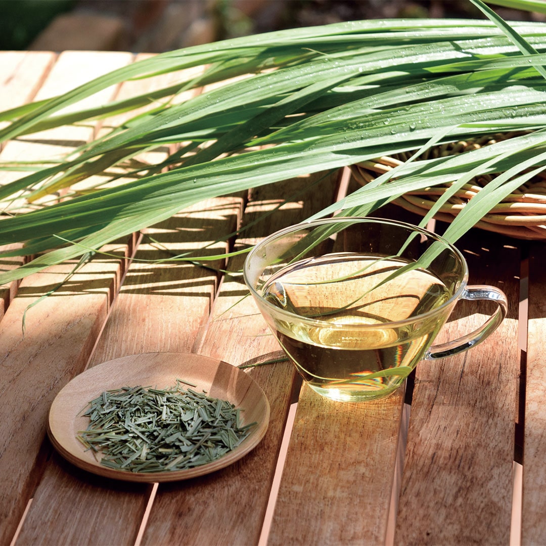 南阿蘇村産「初摘みハーブ茶」3種発売中！