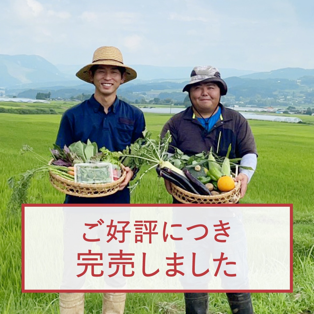 【完売】南阿蘇村産 旬のオーガニック野菜セット