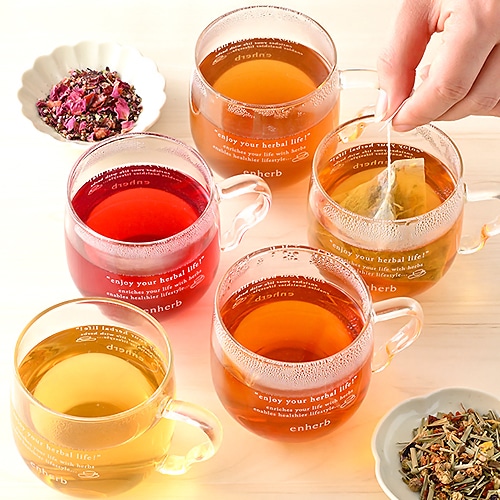 はじめての方におすすめ！