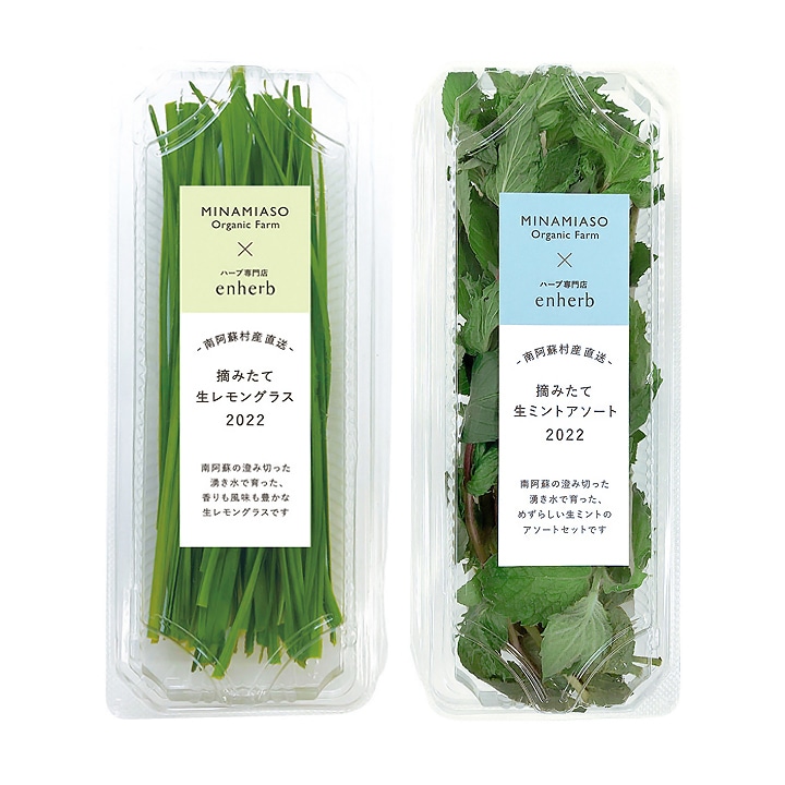 【店舗限定】熊本県南阿蘇村産「摘みたて生レモングラス」「摘みたて生ミントアソート」、7月9日（土）、16日（土）の2日間限定発売