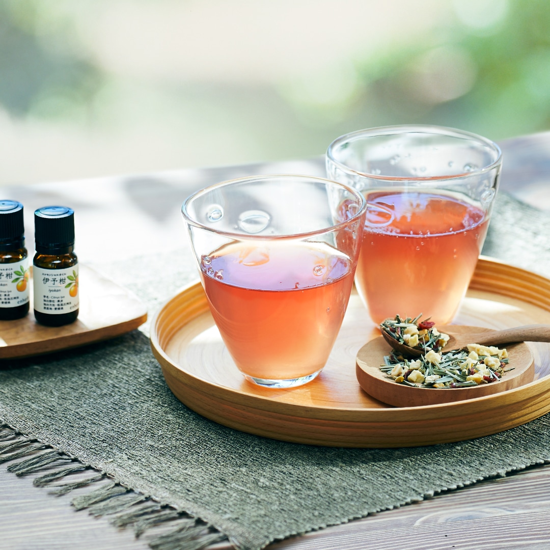 伊予柑でリフレッシュ！