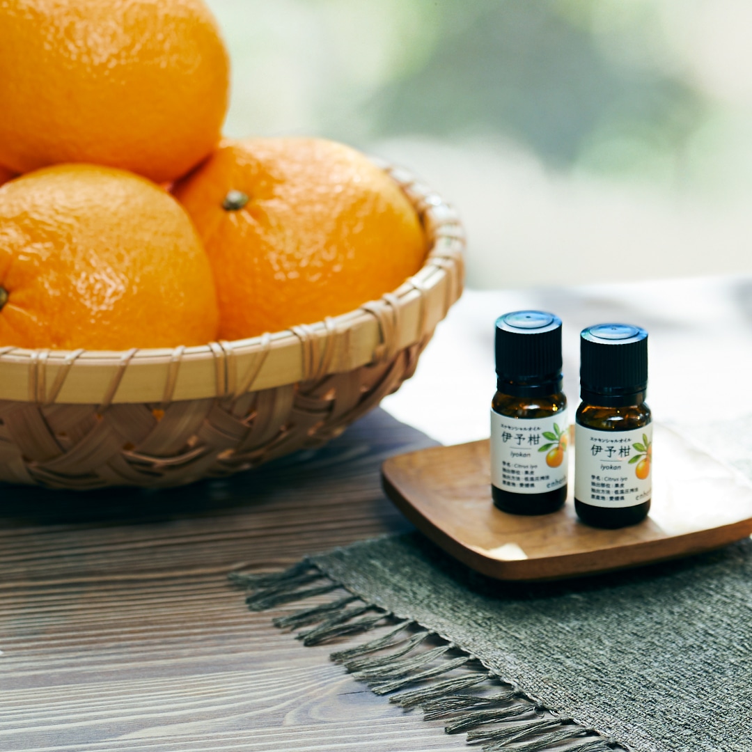 この時季おすすめのエッセンシャルオイル3商品が、10％OFFの特別販売 【期間】12月5日（月）～12月31日（土）