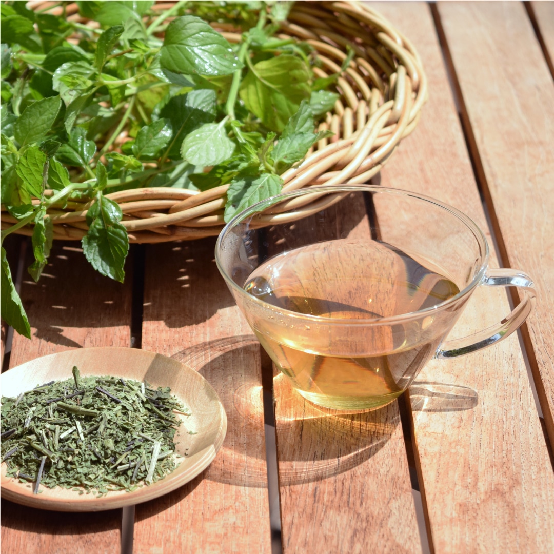 【WEB限定】香り高い茶葉をお届け！ 南阿蘇村産「日本ハッカ茶」、2月8日（水）発売