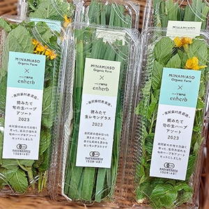 【店舗限定】熊本県南阿蘇村産摘みたて「生レモングラス」「旬の生ハーブアソート」、7月8日（土）、15日（土）の2日間限定発売