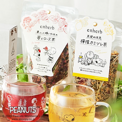 最大100ポイント！ WEB限定でボーナスポイントをプレゼント 【期間】10月13日（金）～11月20日（月）