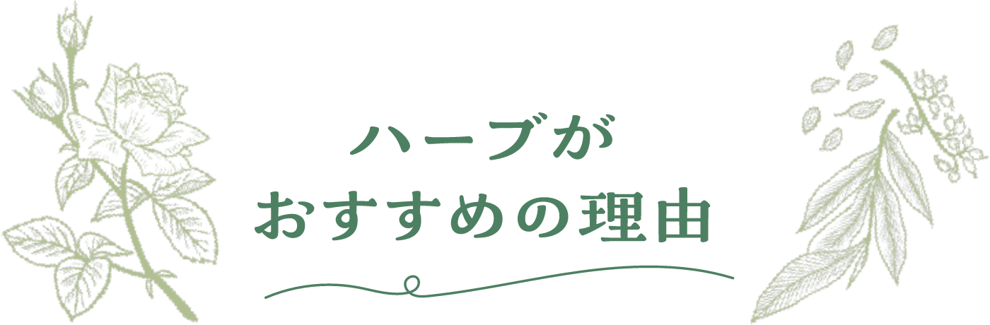 ハーブがおすすめの理由