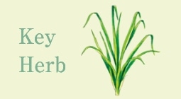 Key Herb