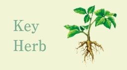 Key Herb