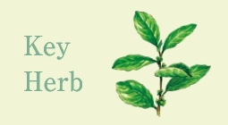 Key Herb