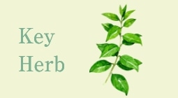 Key Herb