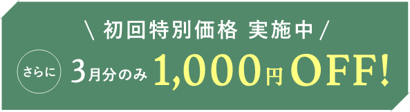 初回特別価格実施中 さらに3月分のみ1,000円OFF!