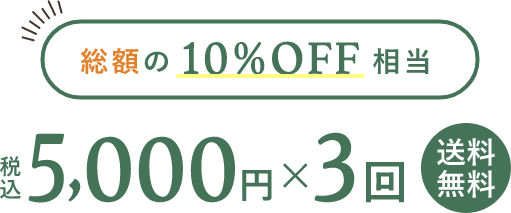 税込5,000円×3回 送料無料