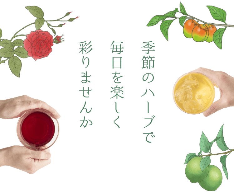 季節のハーブで毎日を楽しく彩りませんか