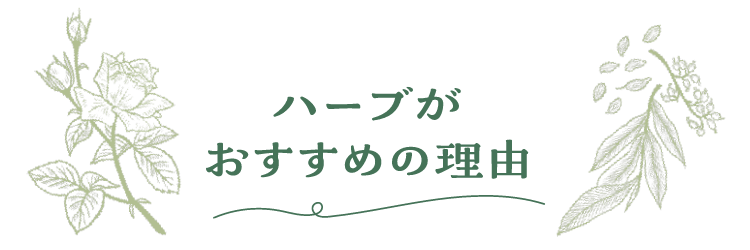 ハーブがおすすめの理由