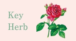 Key Herb