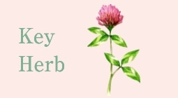 Key Herb