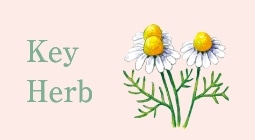 Key Herb