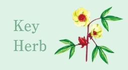 Key Herb