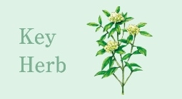 Key Herb